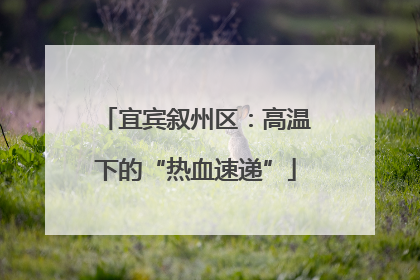宜宾叙州区：高温下的“热血速递”