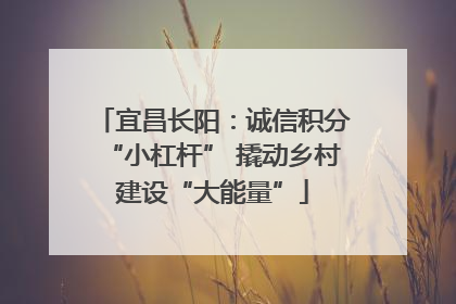 宜昌长阳：诚信积分“小杠杆” 撬动乡村建设“大能量”
