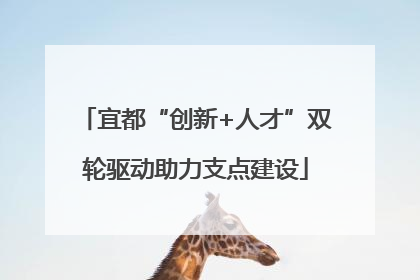 宜都“创新+人才”双轮驱动助力支点建设