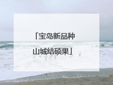 宝岛新品种 山城结硕果