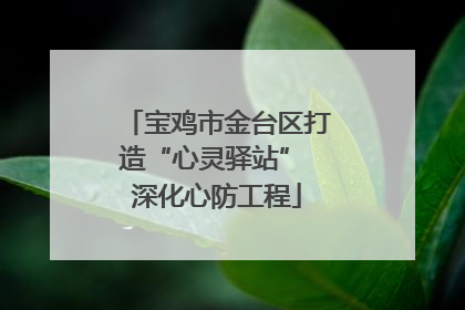 宝鸡市金台区打造“心灵驿站” 深化心防工程