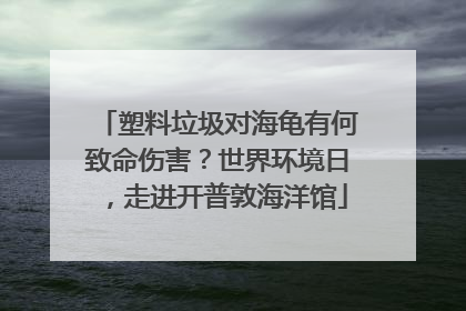 塑料垃圾对海龟有何致命伤害？世界环境日，走进开普敦海洋馆