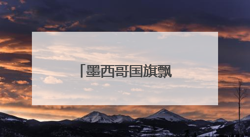 墨西哥国旗飘扬洛杉矶 白宫：看，罪证