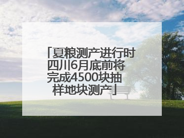 夏粮测产进行时 四川6月底前将完成4500块抽样地块测产
