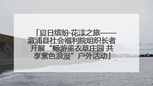 夏日缤纷·花漾之旅——溆浦县社会福利院组织长者开展“畅游薰衣草庄园 共享紫色浪漫”户外活动