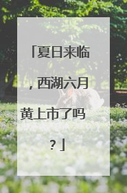 夏日来临，西湖六月黄上市了吗？
