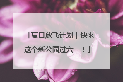 夏日放飞计划｜快来这个新公园过六一！