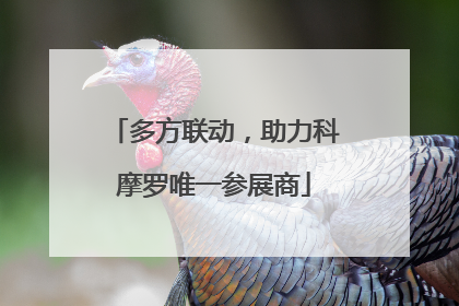 多方联动，助力科摩罗唯一参展商