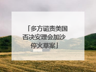 多方谴责美国否决安理会加沙停火草案