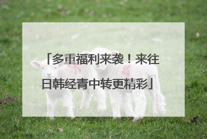 多重福利来袭！来往日韩经青中转更精彩