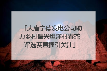 大唐宁德发电公司助力乡村振兴坦洋村春茶评选赛直播引关注