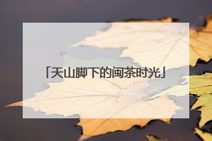 天山脚下的闽茶时光