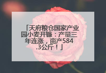 天府粮仓国家产业园小麦开镰：产量三年连涨，亩产584.3公斤！