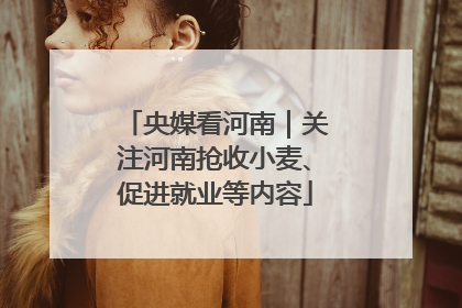 央媒看河南｜关注河南抢收小麦、促进就业等内容