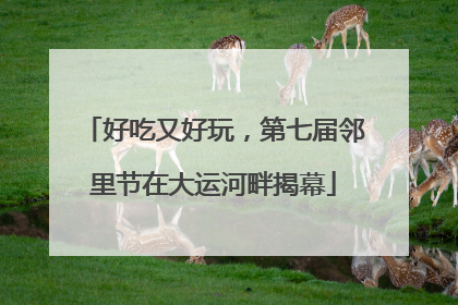 好吃又好玩，第七届邻里节在大运河畔揭幕