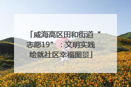 威海高区田和街道“志愿19”：文明实践绘就社区幸福图景