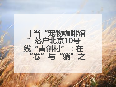 当“宠物咖啡馆”落户北京10号线“青创村”：在“卷”与“躺”之间，他们找到了第三种生活公式