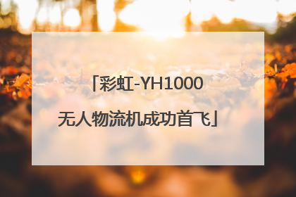 彩虹-YH1000无人物流机成功首飞