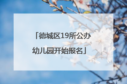 德城区19所公办幼儿园开始报名