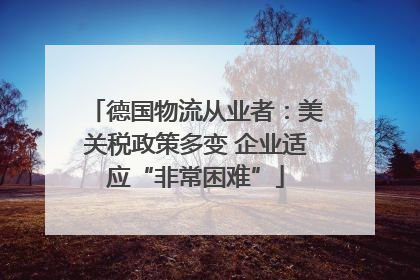 德国物流从业者：美关税政策多变 企业适应“非常困难”