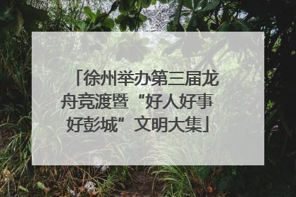 徐州举办第三届龙舟竞渡暨“好人好事好彭城”文明大集