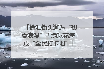 徐汇街头邂逅“初夏浪漫”！绣球花海成“全民打卡地”