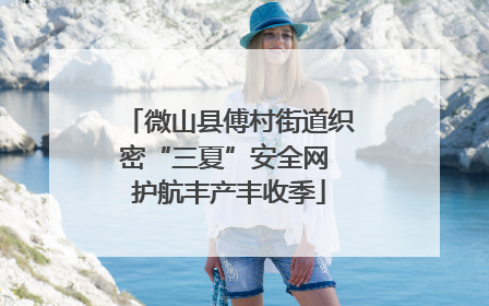 微山县傅村街道织密“三夏”安全网 护航丰产丰收季