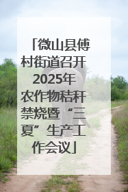 微山县傅村街道召开2025年农作物秸秆禁烧暨“三夏”生产工作会议