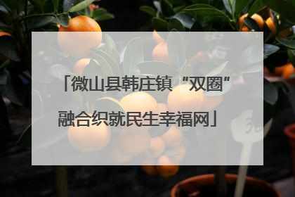 微山县韩庄镇“双圈”融合织就民生幸福网