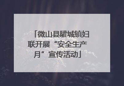 微山县驩城镇妇联开展“安全生产月”宣传活动