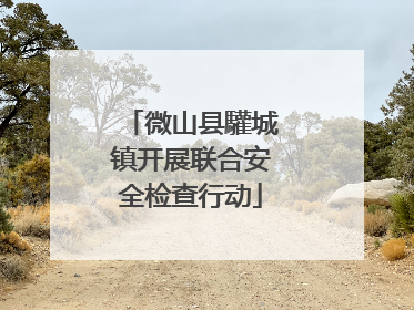 微山县驩城镇开展联合安全检查行动