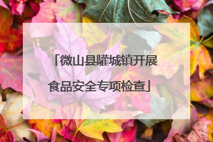 微山县驩城镇开展食品安全专项检查