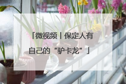 微视频丨保定人有自己的“驴卡龙”