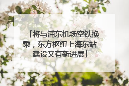 将与浦东机场空铁换乘，东方枢纽上海东站建设又有新进展