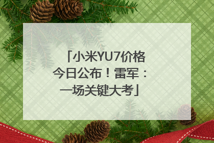 小米YU7价格今日公布！雷军：一场关键大考