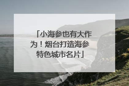 小海参也有大作为！烟台打造海参特色城市名片