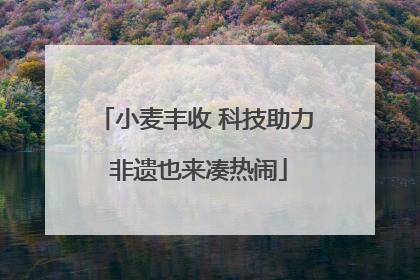 小麦丰收 科技助力 非遗也来凑热闹