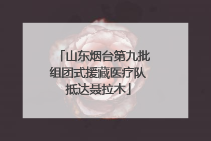 山东烟台第九批组团式援藏医疗队抵达聂拉木