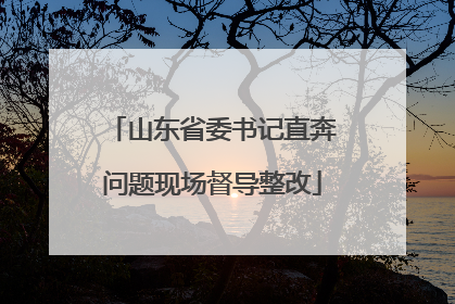 山东省委书记直奔问题现场督导整改