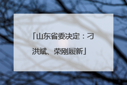 山东省委决定：刁洪斌、荣刚履新