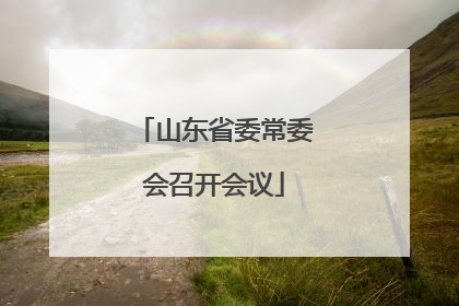 山东省委常委会召开会议