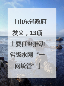 山东省政府发文，13项主要任务推动省级水网“一网统管”