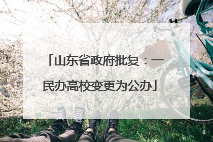 山东省政府批复：一民办高校变更为公办