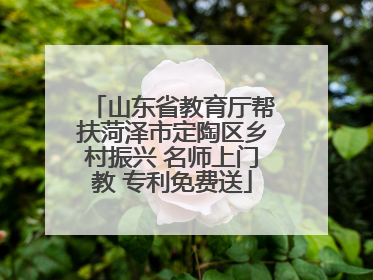 山东省教育厅帮扶菏泽市定陶区乡村振兴 名师上门教 专利免费送