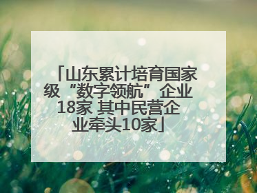 山东累计培育国家级“数字领航”企业18家 其中民营企业牵头10家