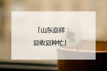 山东嘉祥：夏收夏种忙