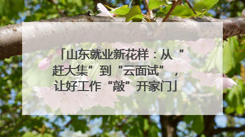 山东就业新花样：从“赶大集”到“云面试”，让好工作“敲”开家门