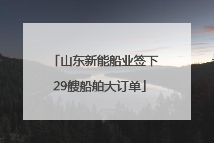 山东新能船业签下29艘船舶大订单