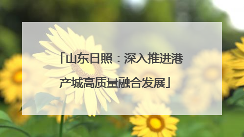 山东日照：深入推进港产城高质量融合发展