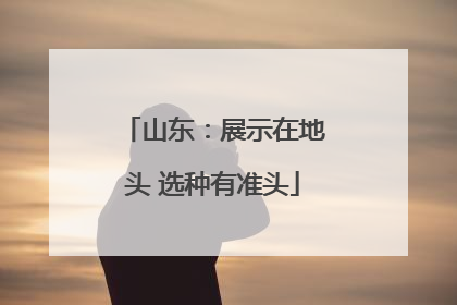 山东：展示在地头 选种有准头